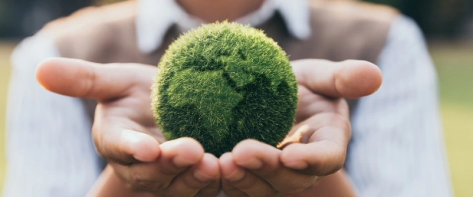 The European Green Deal: A Game-Changer for the Automotive Industry